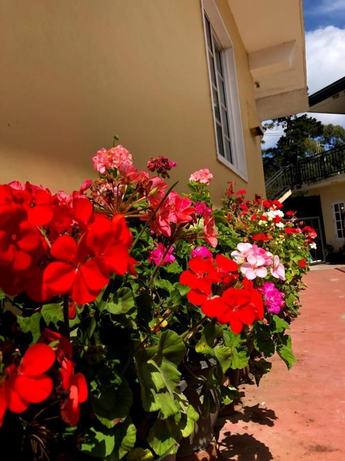 Hotel Shevyhaws Nuwara Eliya Exterior foto